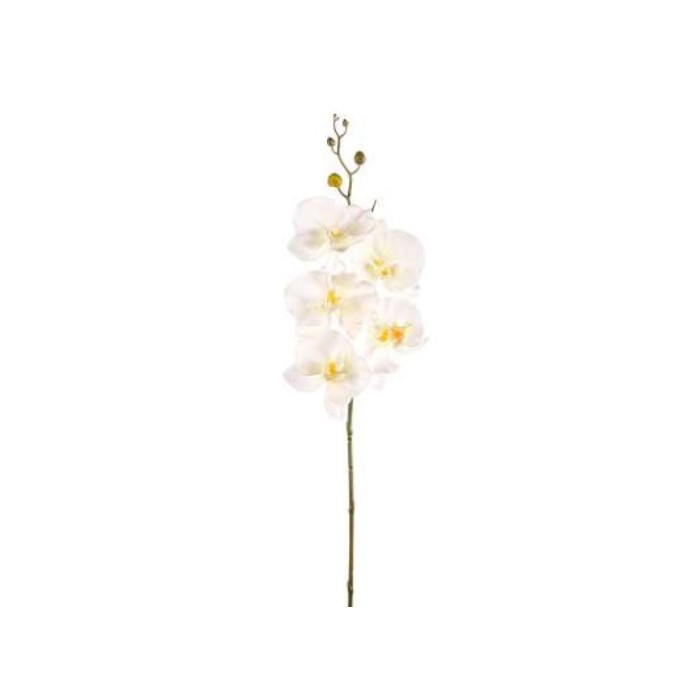 home-decor/artificial-plants-flowers/orchid-stem-78cm-ivory