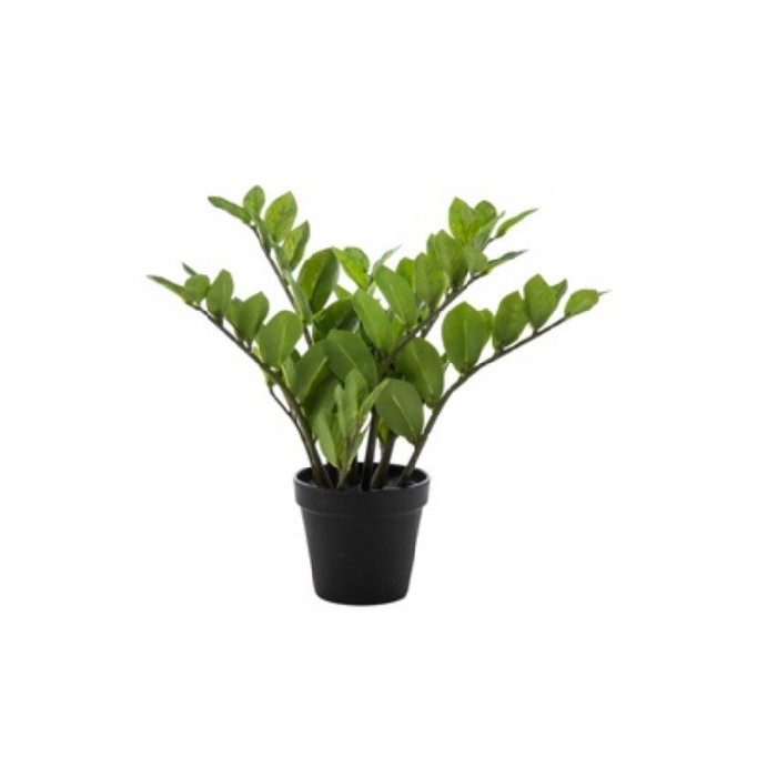 home-decor/artificial-plants-flowers/zamiifolia-plant-35cm
