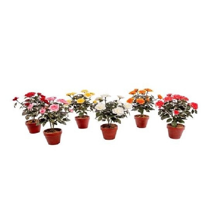 home-decor/artificial-plants-flowers/rose-plant-potted-38cm-6-assorted