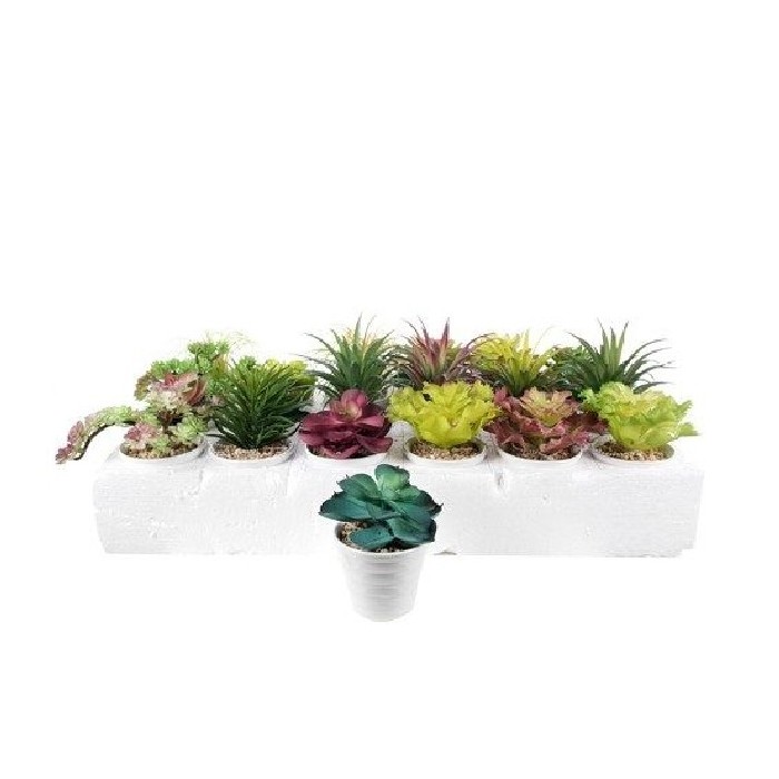 home-decor/artificial-plants-flowers/succulent-in-pot-13cm-24-assorted
