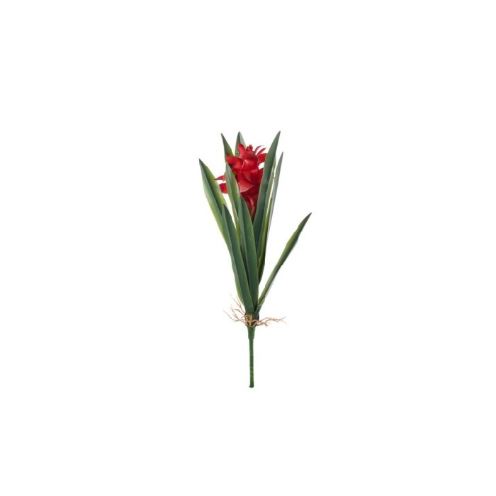 home-decor/artificial-plants-flowers/red-guzmania-plant-46cm