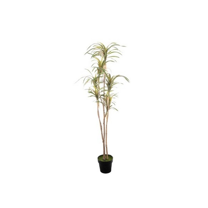 home-decor/artificial-plants-flowers/dracena-plant-170cm