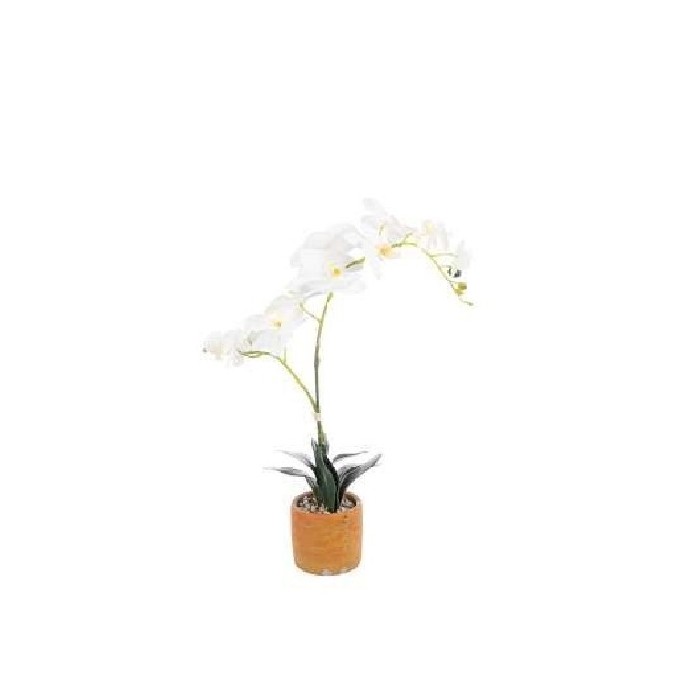 home-decor/artificial-plants-flowers/orchid-x-2-potted-cream