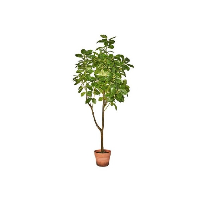 home-decor/artificial-plants-flowers/ficus-microcarpa-plant-120cm
