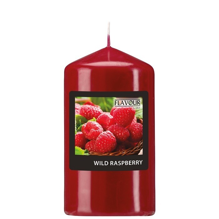home-decor/candles-home-fragrance/scented-pillar-wild-raspberries