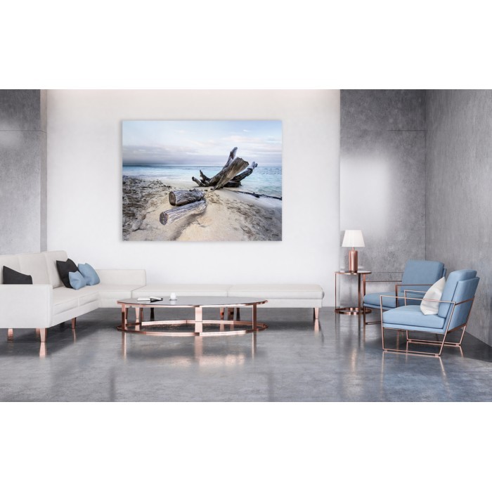home-decor/wall-decor/styler-canvas-sand-85cm-x-113cm-st470-branch