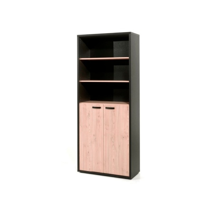 office/bookcases-cabinets/capo-bookcase-2low-doors-blackchestnut