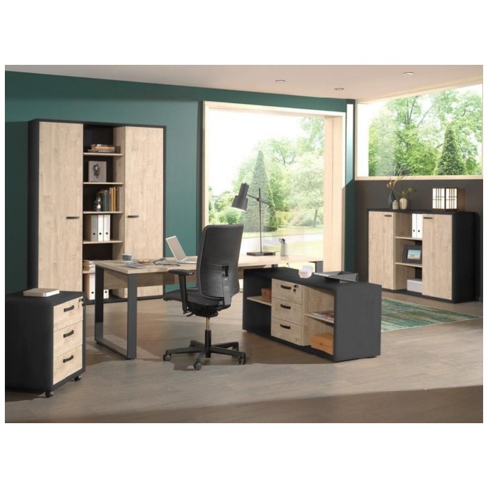 office/bookcases-cabinets/capo-medium-height-bookcase-2-door-1-open-shelf-blackchestnut