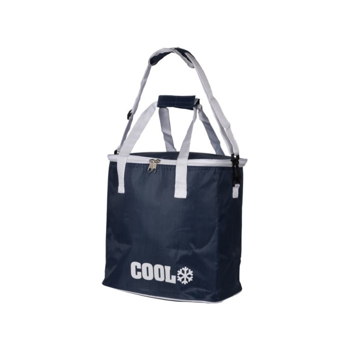 outdoor/beach-related/cooler-bag-18ltr-dark-blue-clr