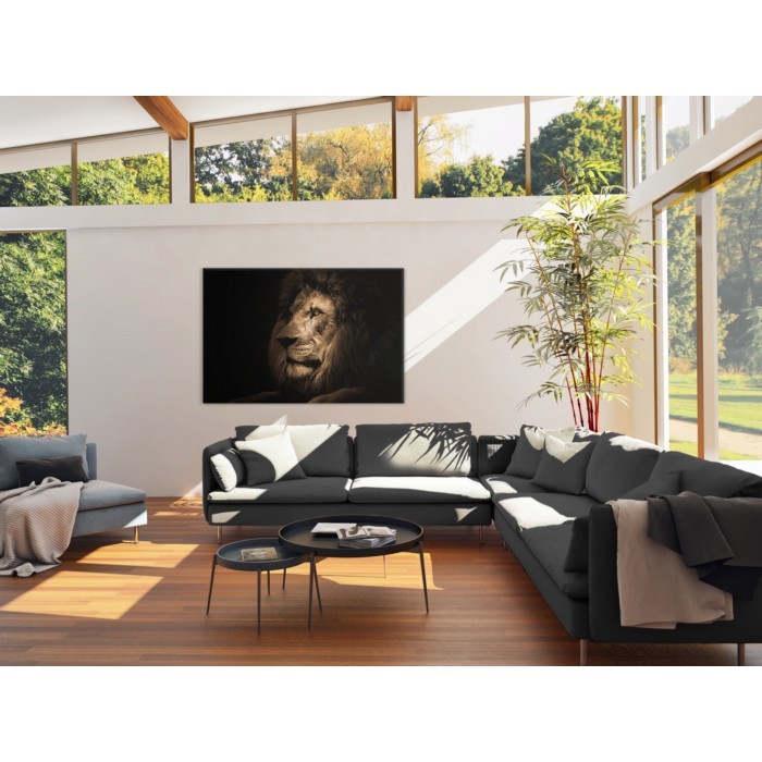 home-decor/wall-decor/styler-glass-animals3-70cm-x-100cm-sg-gl247-lion