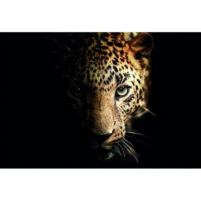 home-decor/wall-decor/styler-glass-animals3-70cm-x-100cm-sg-gl246-leopa