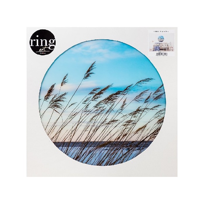 home-decor/wall-decor/styler-glasspik-ringart-fi70-gr003-wind