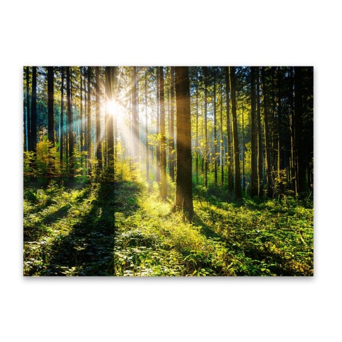 home-decor/wall-decor/styler-glasspik-80cm-x-120cm-gl404-sunny-forest