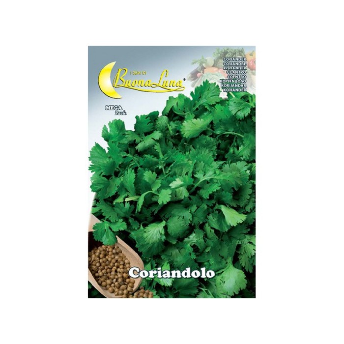 gardening/seeds/coriandolo-seeds
