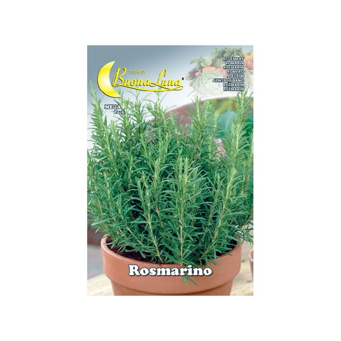 gardening/seeds/rosmarino-seeds