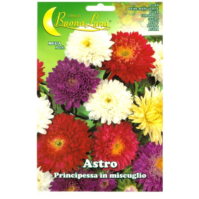 gardening/seeds/astro-principessa-mix-3034
