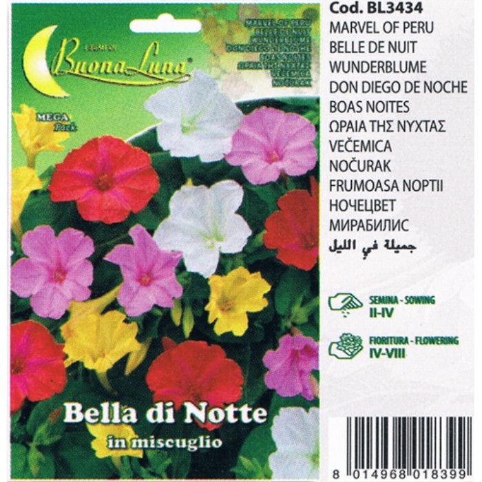 gardening/seeds/bella-di-notte-3434