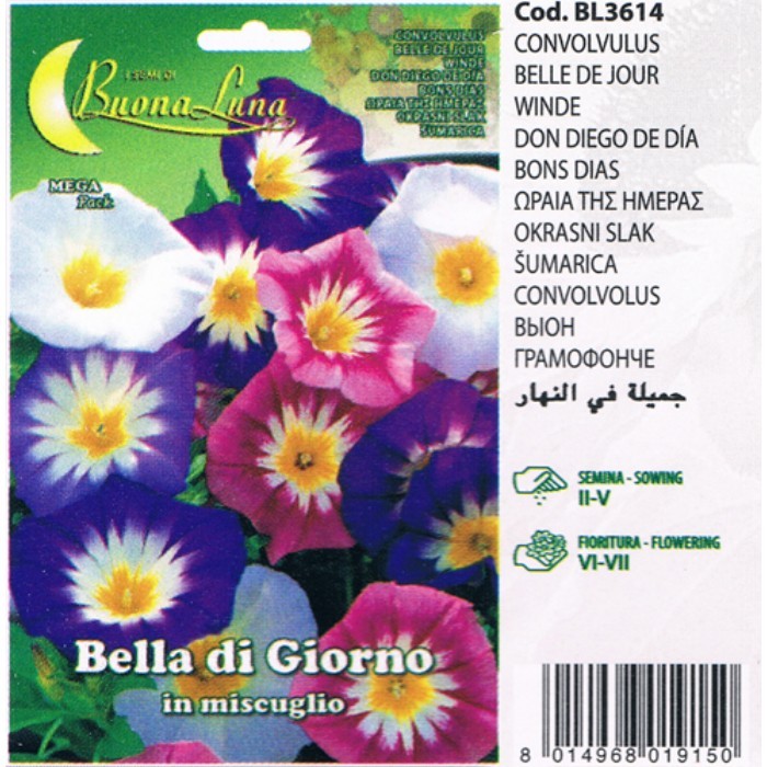 gardening/seeds/bella-di-giorno-in-miscuglio-3614