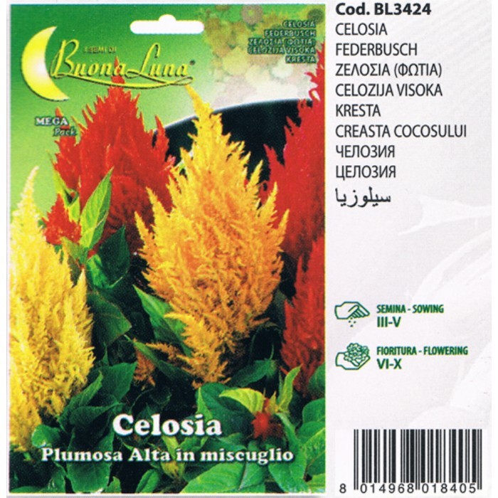 gardening/seeds/celosia-plumosa-alta-3424