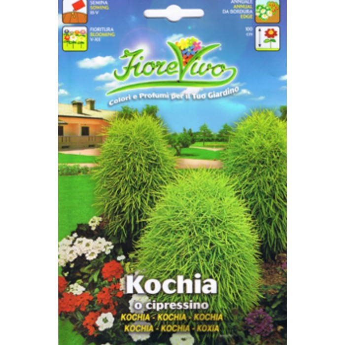 gardening/seeds/kochia-cipressino-3404