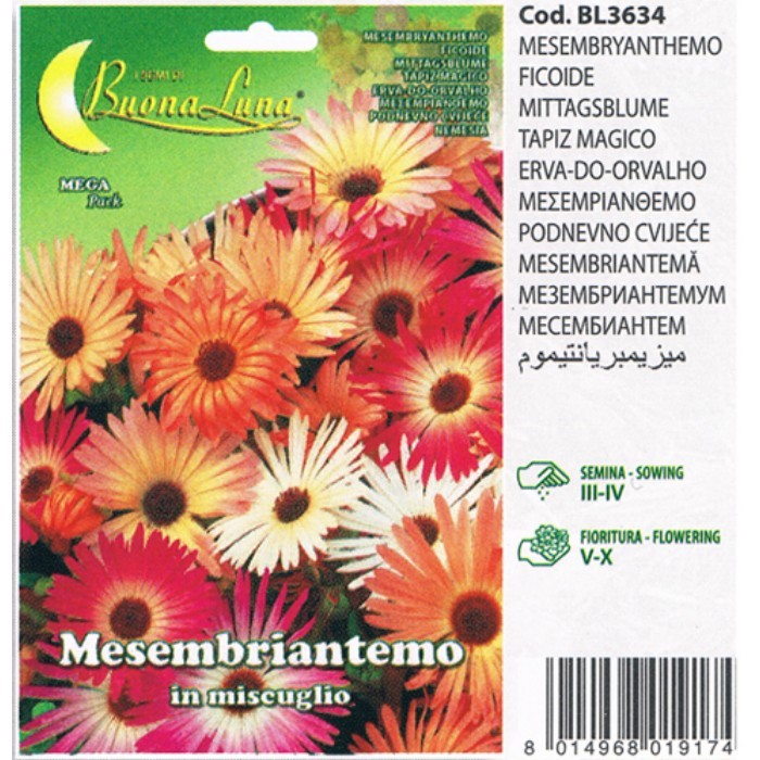 gardening/seeds/mesembriantemo-3634