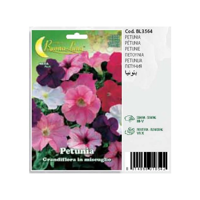 gardening/seeds/petunia-grandiflora-mix