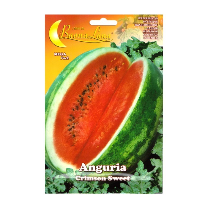 gardening/seeds/anguria-crimson-sweet-0021