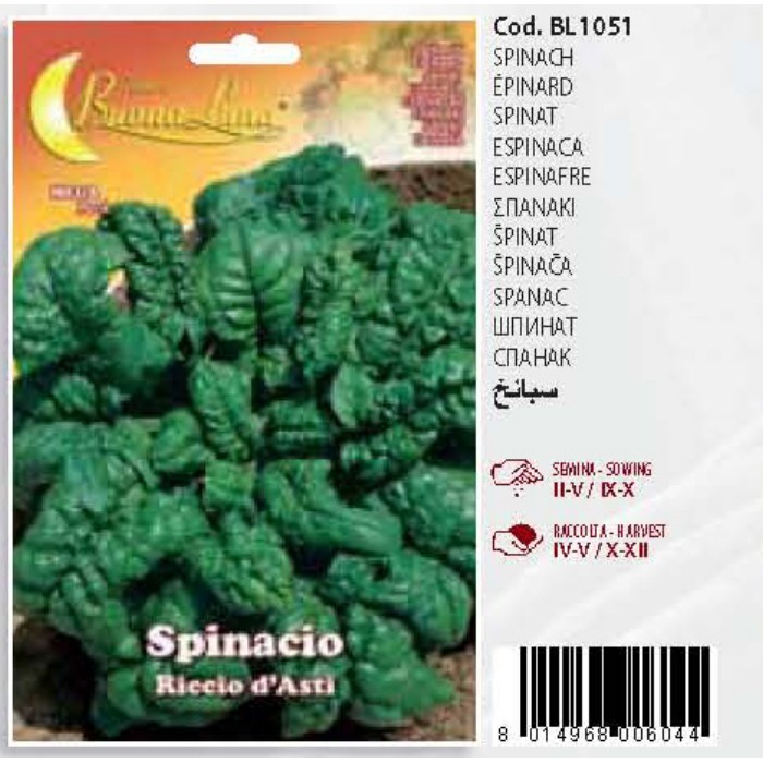 gardening/seeds/green-spinach-seeds