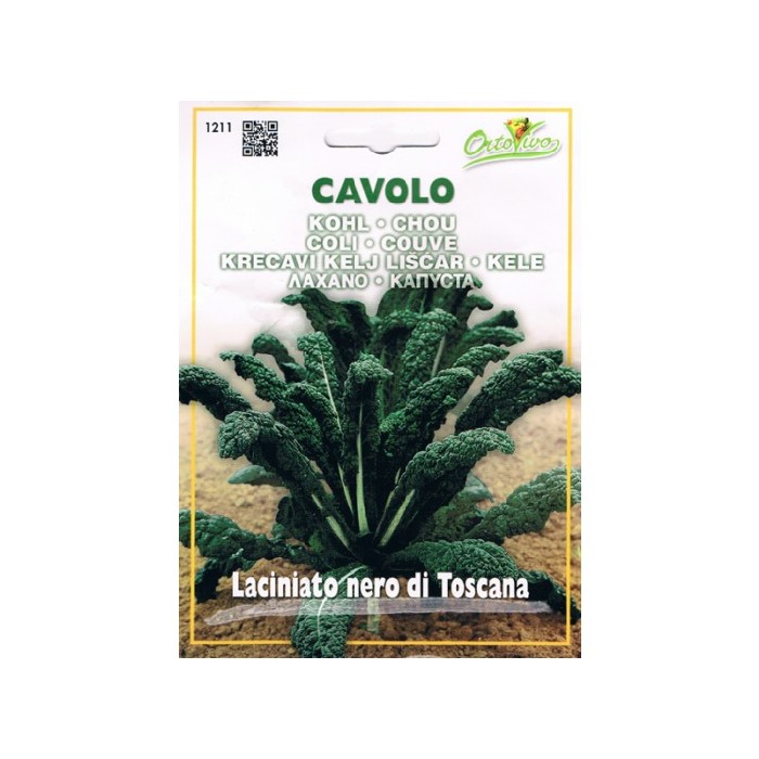 gardening/seeds/cavolo-laciniato-nero-di-toscana