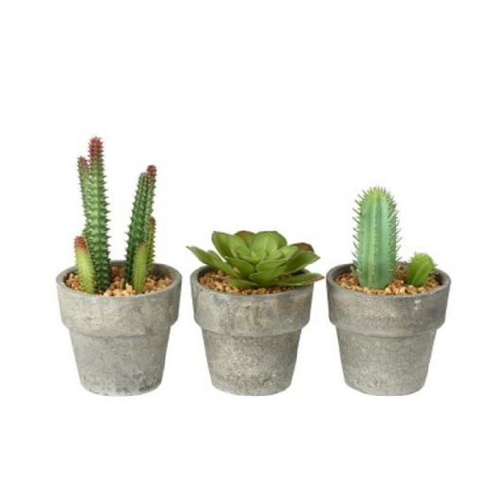 home-decor/artificial-plants-flowers/succulents-in-plant-pots-3-assorted-designs