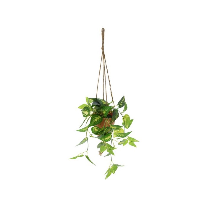 home-decor/artificial-plants-flowers/hang-plant-in-pp-pot