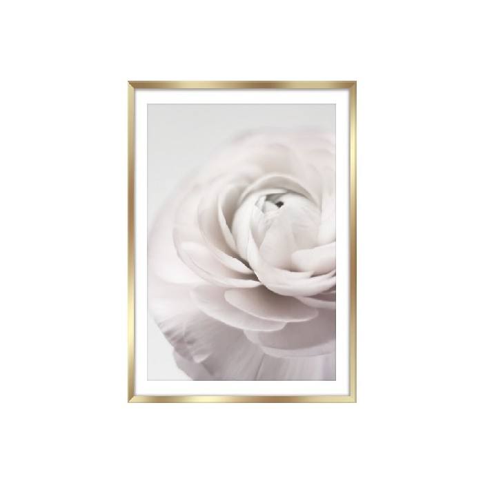 home-decor/wall-decor/styler-framepic-50cm-x-70cm-fp012-petals