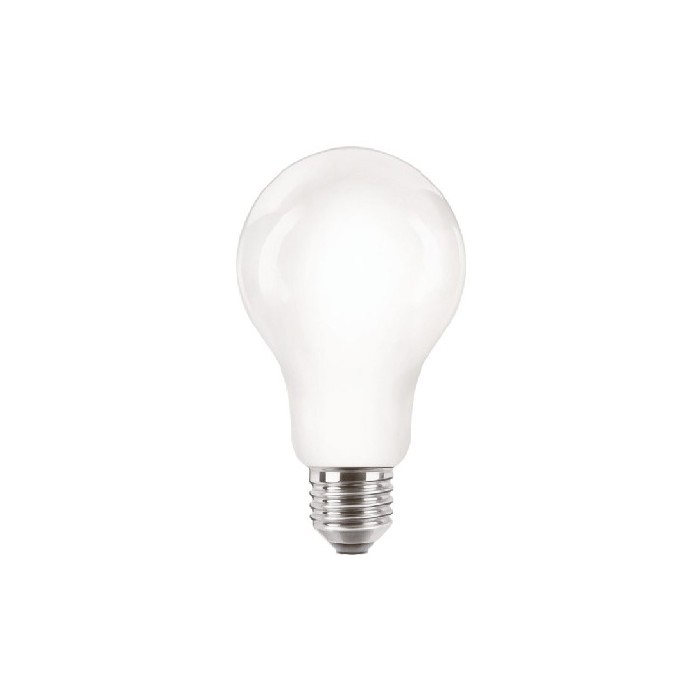 lighting/bulbs/philips-t8-bulb-nd-120w-e27-a67-827fr-g
