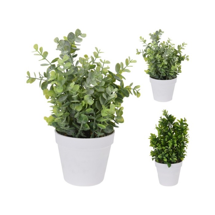 home-decor/artificial-plants-flowers/plant-in-pot-12cm-3-assorted-designs