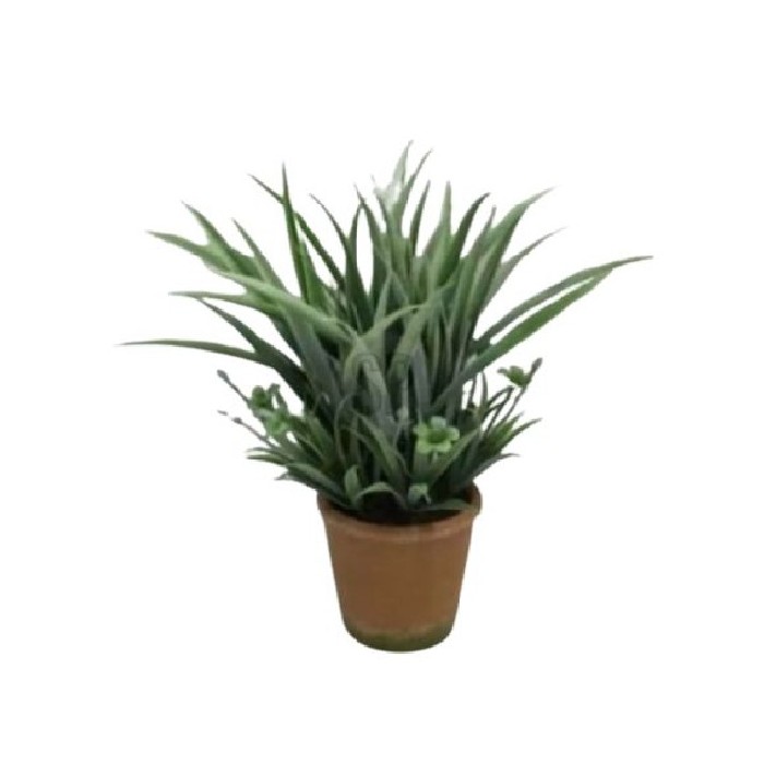 home-decor/artificial-plants-flowers/plant-in-pot-dia9xh28cm-3assorted