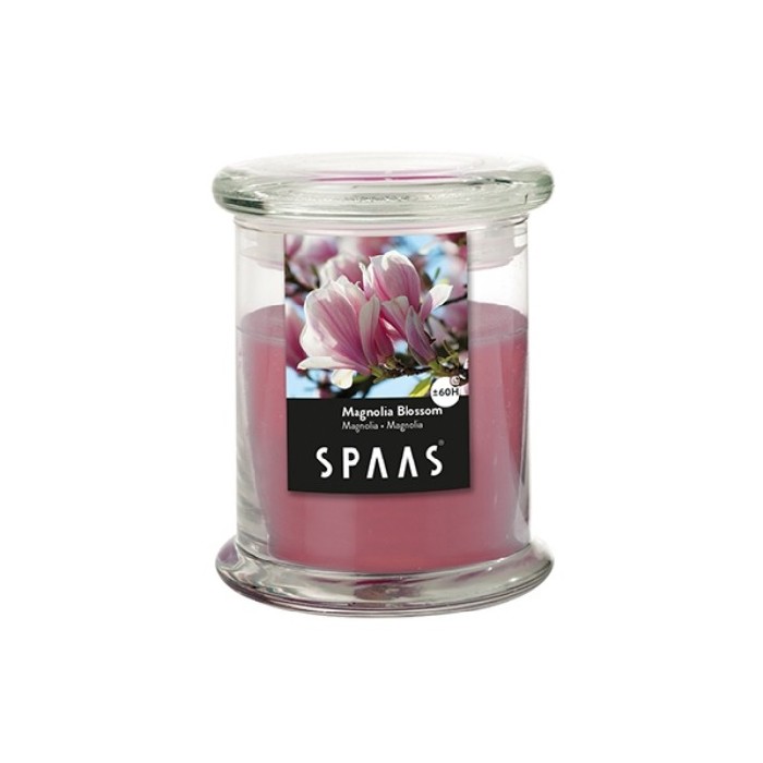 home-decor/candles-home-fragrance/spaas-household-glass-jar-magnolia-blossom