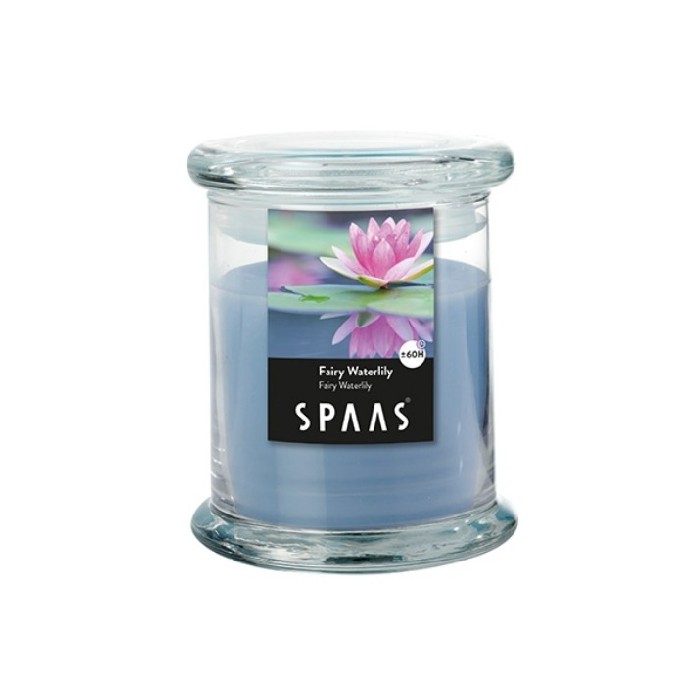 home-decor/candles-home-fragrance/spaas-scented-tl-24-assor-southern-citrus