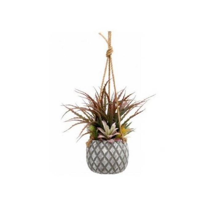 home-decor/indoor-pots-plant-stands/34cm-hanging-succulents-in-pot