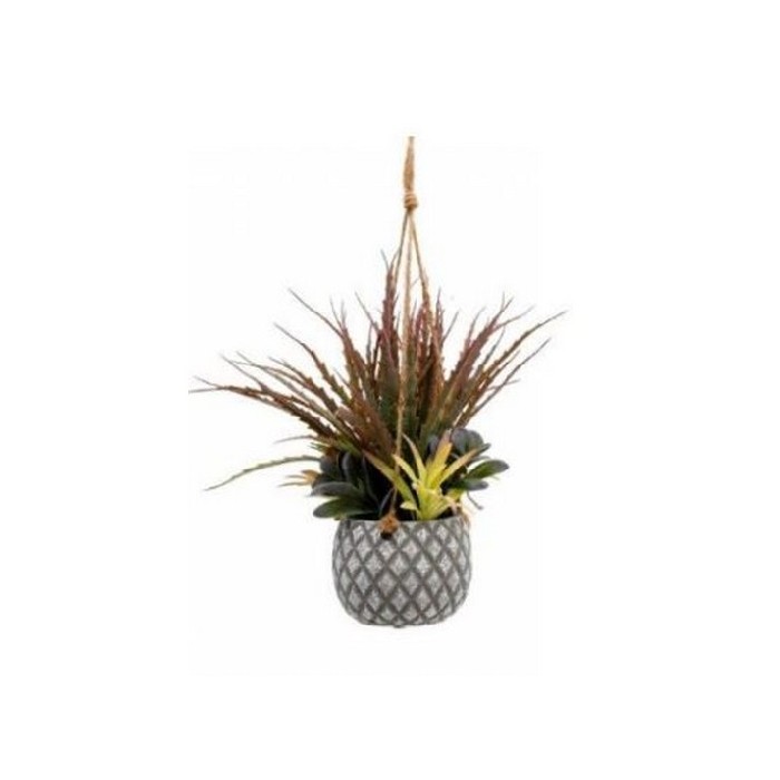 home-decor/indoor-pots-plant-stands/30cm-hanging-succulents-in-pot