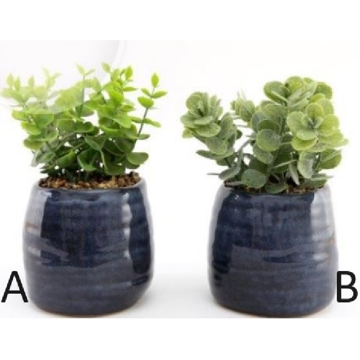 home-decor/artificial-plants-flowers/synergy-faux-succulent-in-navy-blue-ceramic-pot-2-assorted-designs