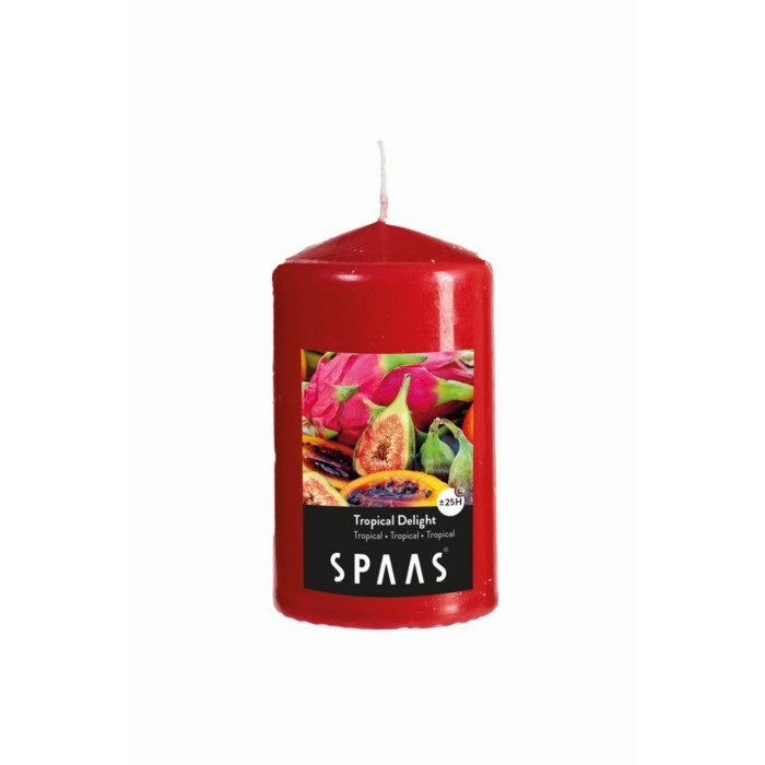 home-decor/deco/spaas-scented-pillar-80150-tropical-delight