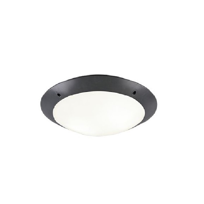 lighting/ceiling-lamps/trio-ceiling-lamp-ip54-camaro-2xe27-anthracite