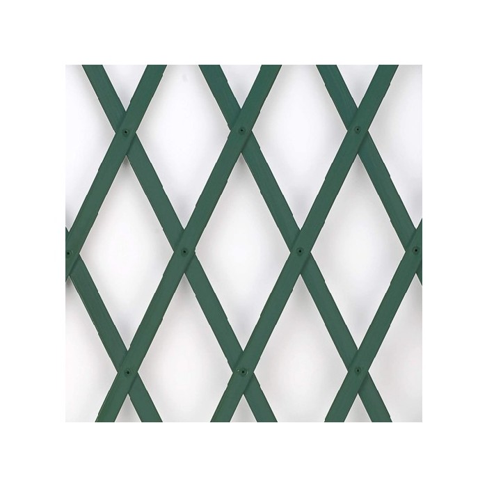 gardening/fence-trellis/trellex-expandable-1mtr-x-1mtr-green