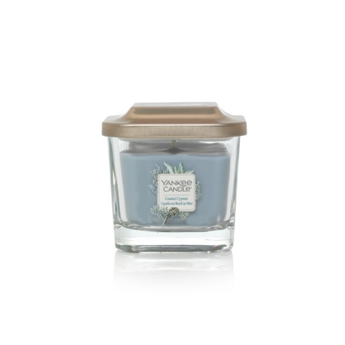 home-decor/candles-home-fragrance/elevation-small-jar-coastal-cypress