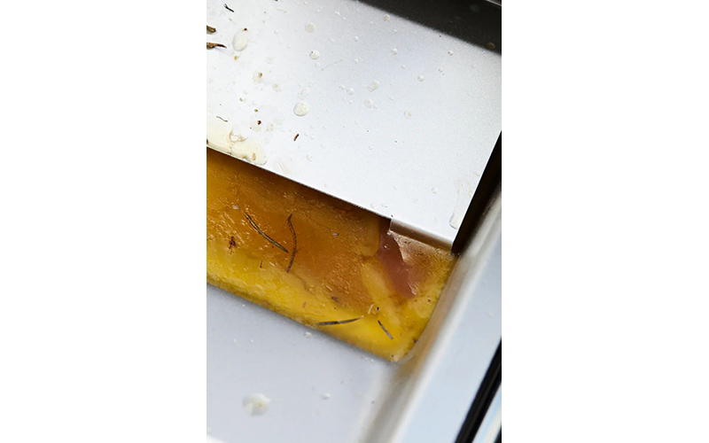 What are the benefits of a Siesta 210 gas BBQ